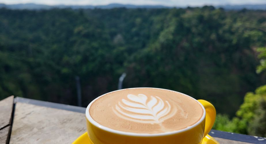 Bolaven Plateau Laos 1